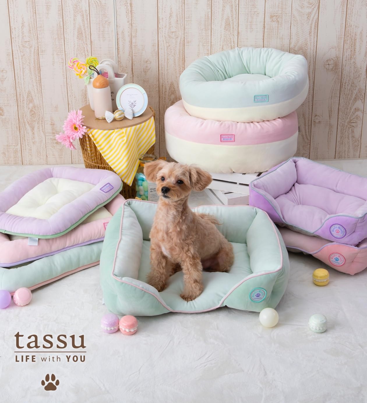 Amazon.co.jp: tassu もちもち ペットベッド 犬用 猫用 ふわもち
